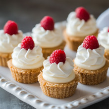 Classic Vanilla Bean Mini Cheesecake